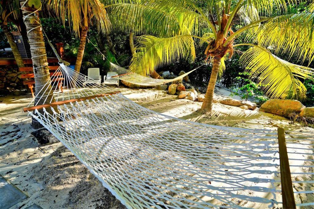 The Dock Resort Over Water Retreat West End Luaran gambar