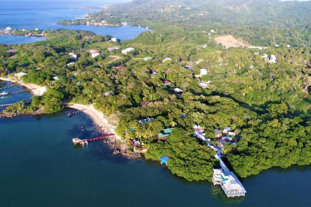 The Dock Resort Over Water Retreat West End Luaran gambar